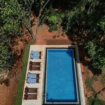 Isanka Lion Lodge Sigirija Zewnętrze zdjęcie