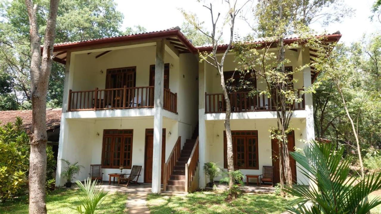Isanka Lion Lodge Sigirija Zewnętrze zdjęcie