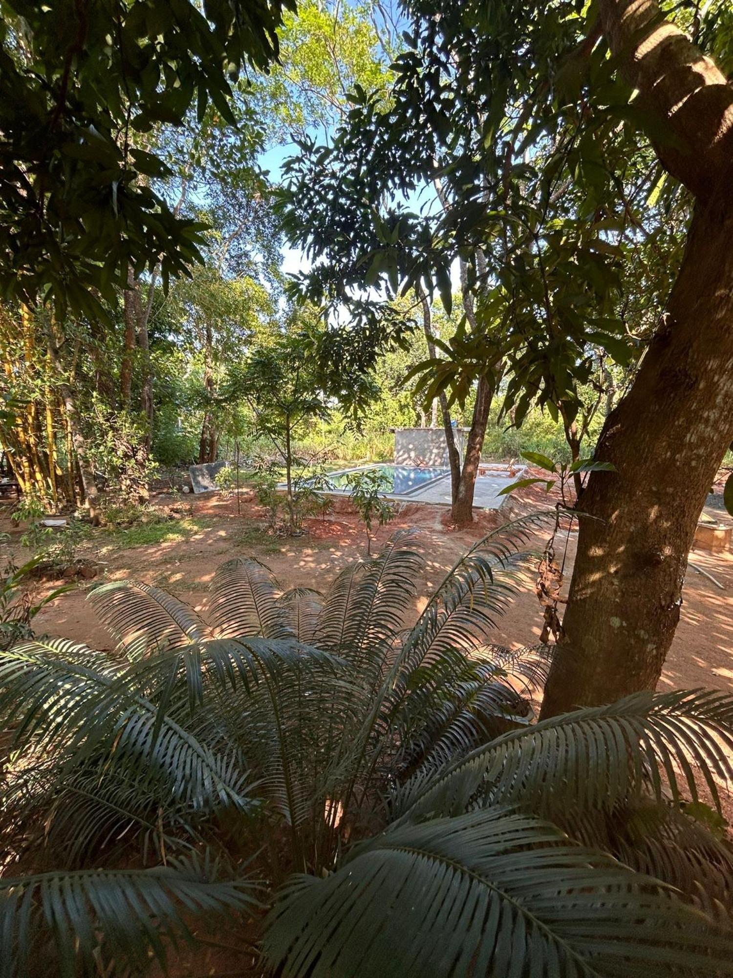 Isanka Lion Lodge Sigirija Zewnętrze zdjęcie