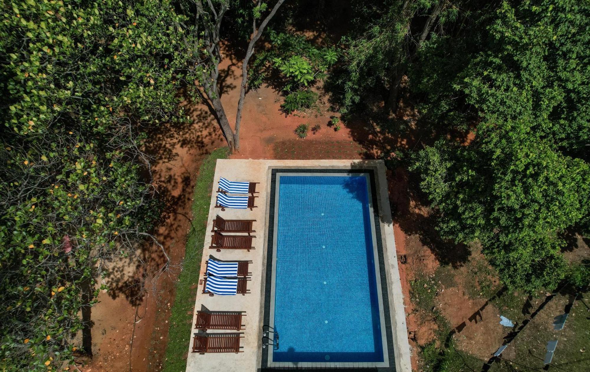 Isanka Lion Lodge Sigirija Zewnętrze zdjęcie