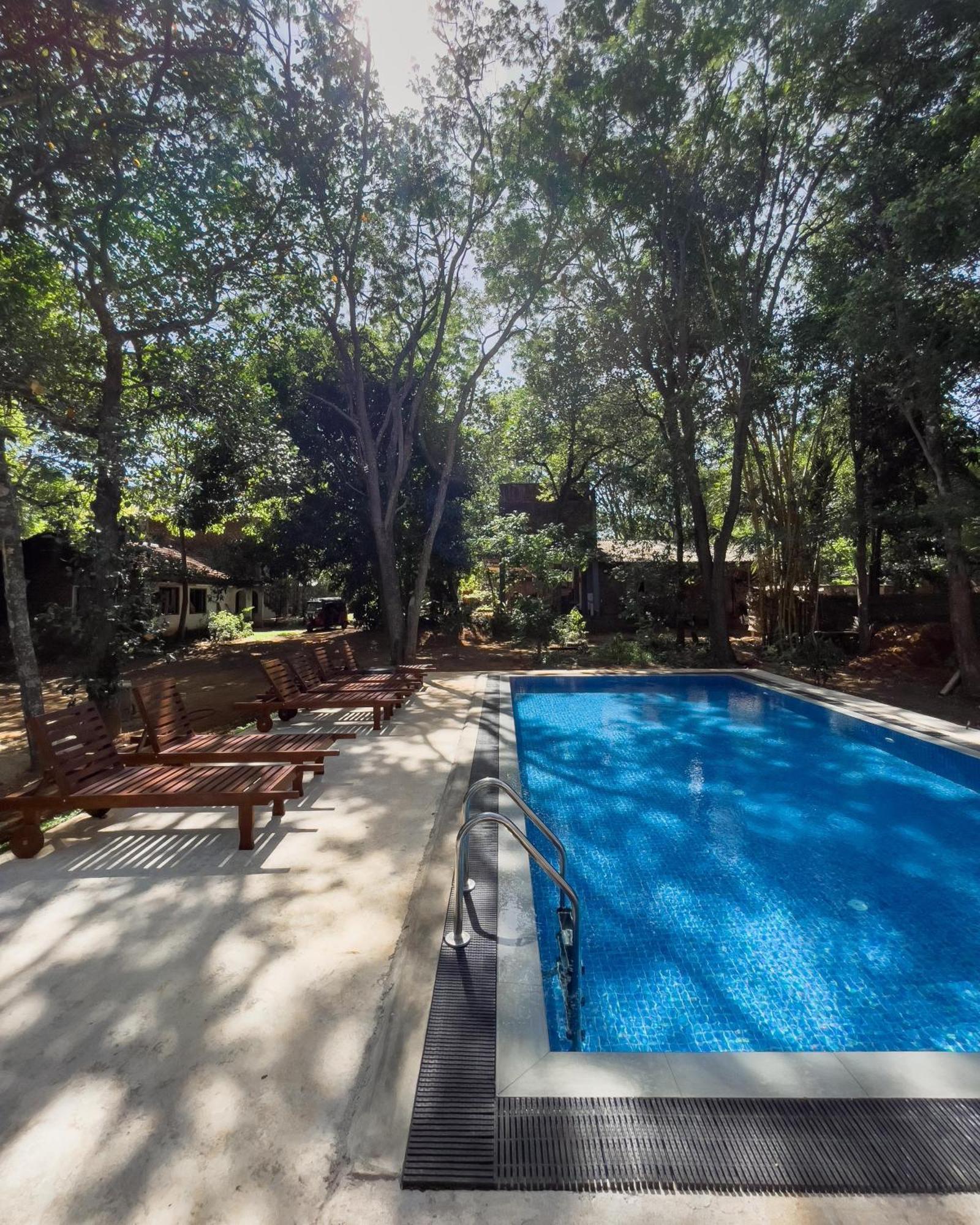 Isanka Lion Lodge Sigirija Zewnętrze zdjęcie