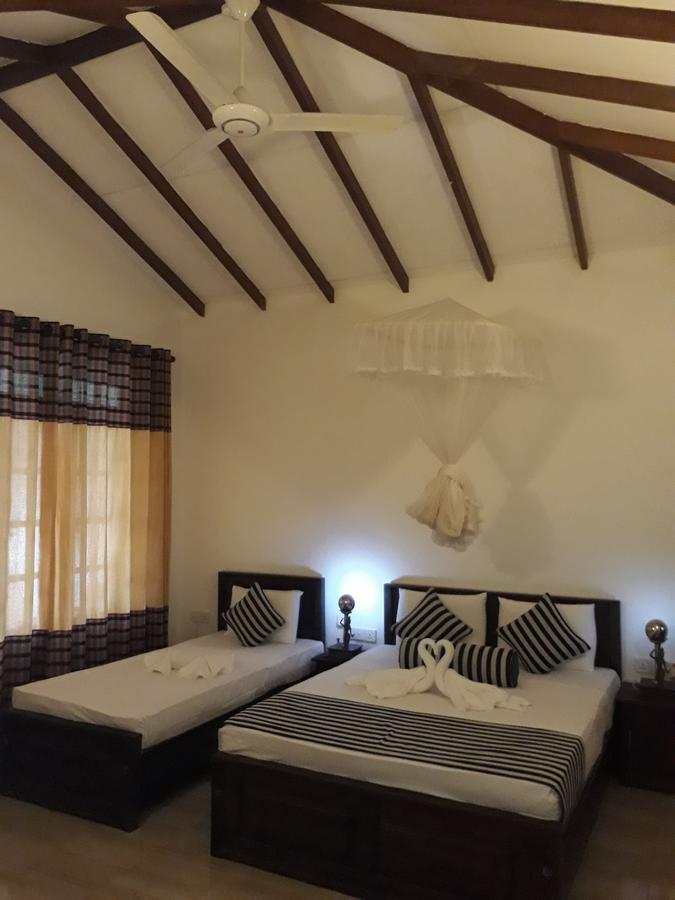 Isanka Lion Lodge Sigirija Zewnętrze zdjęcie