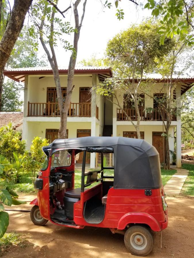 Isanka Lion Lodge Sigirija Zewnętrze zdjęcie